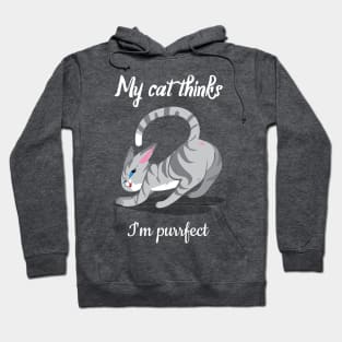 My cat thinks I am perfect Hoodie